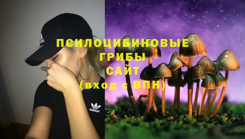 Псилоцибиновые грибы Psilocybe  Борзя 